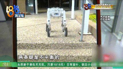 90万买机器狗翻车 大狗没交货中狗站不稳 二开还被锁
